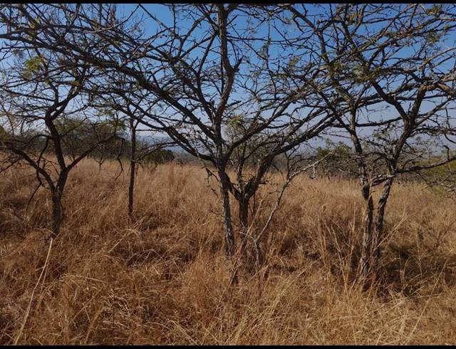 LAND FOR SALE IN BUNDU WILDLIFE ESTATE